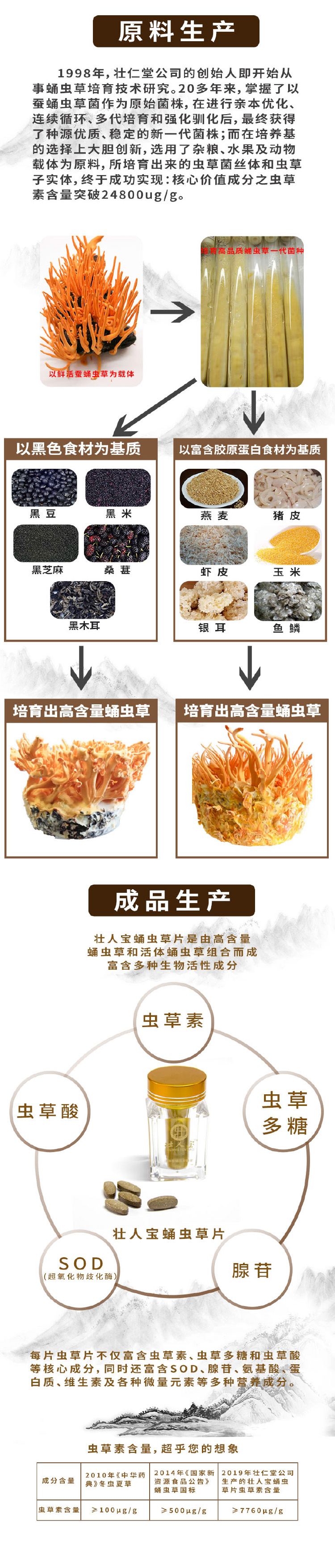 壯人寶蛹蟲草片-3.jpg