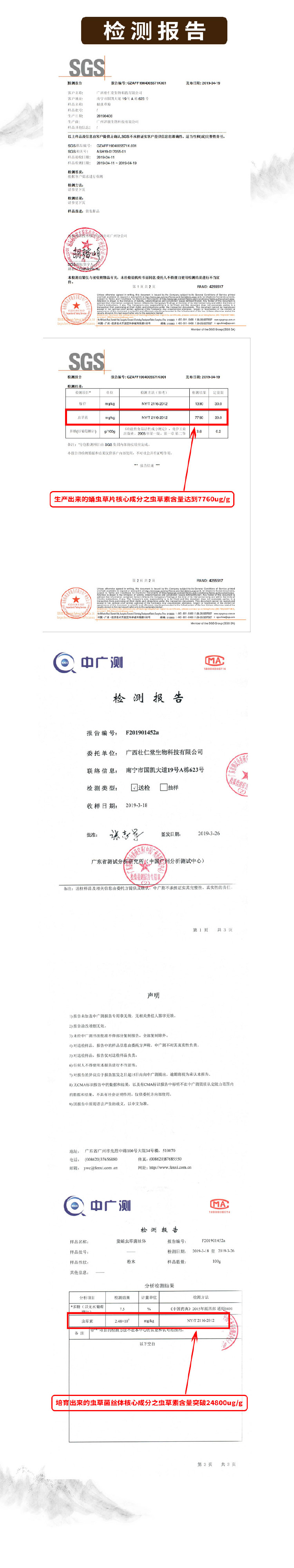 壯人寶蛹蟲草片-4.jpg