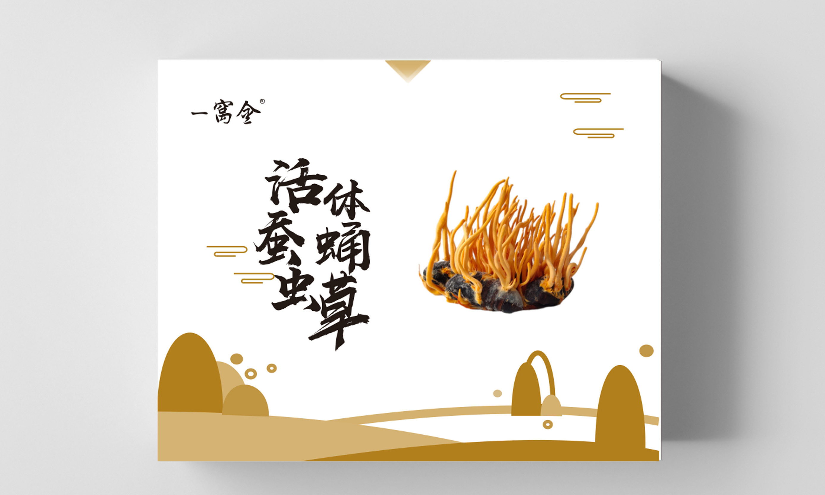 【一窝金】活体蚕蛹虫草