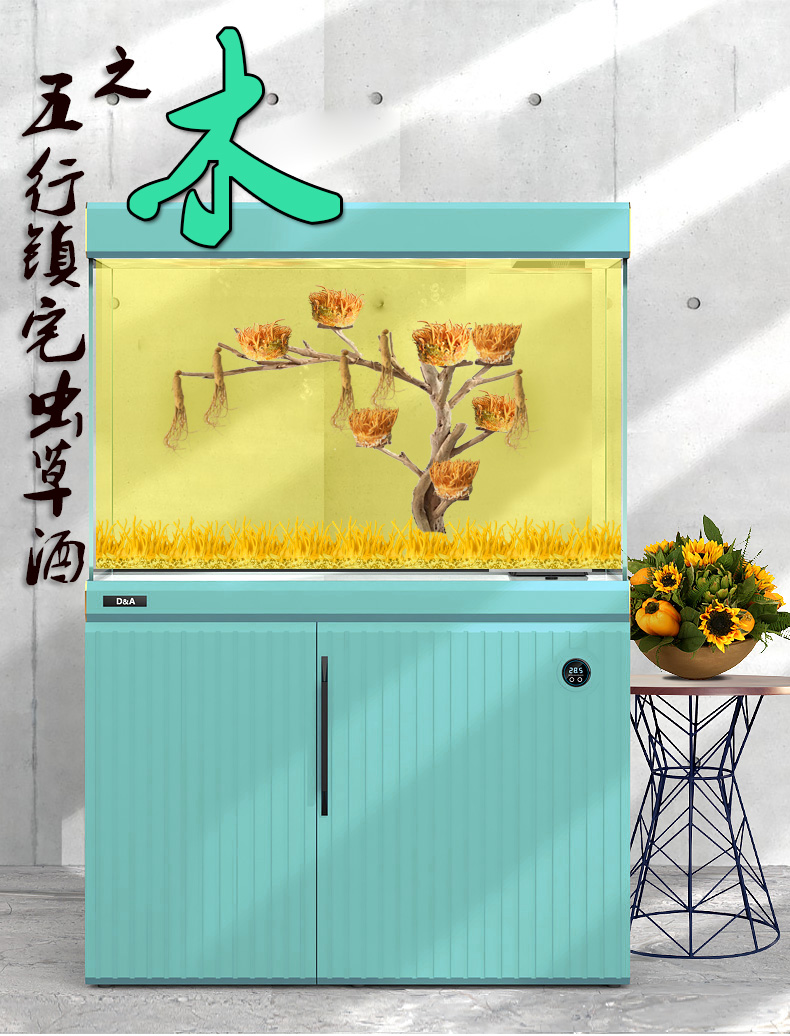 【虫草盆景】——木
