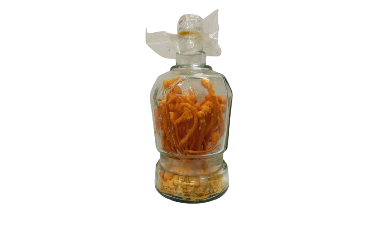 蛹虫草酒瓶（未注酒）